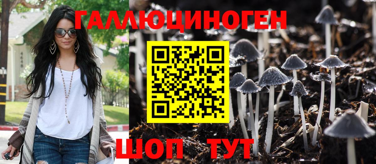 Галлюциногенные грибы Psilocybine cubensis Черняховск